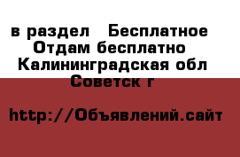  в раздел : Бесплатное » Отдам бесплатно . Калининградская обл.,Советск г.